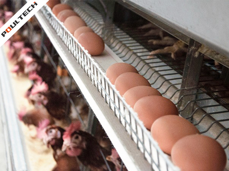 H Frame Layer Battery Cage System