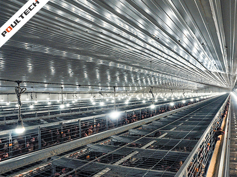 H Frame Layer Battery Cage System