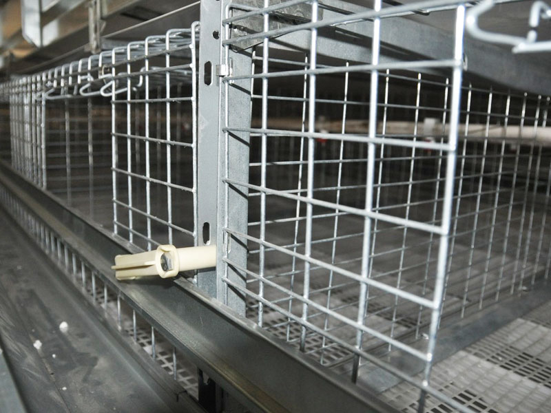 H Frame Broiler Battery Cage System