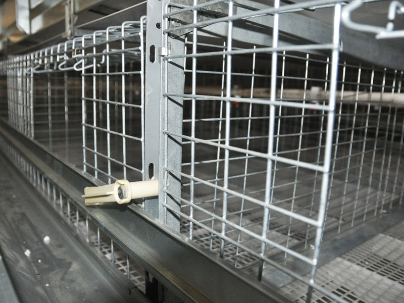 H Frame Broiler Battery Cage System,Cage System