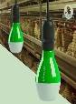 Lighting System 1