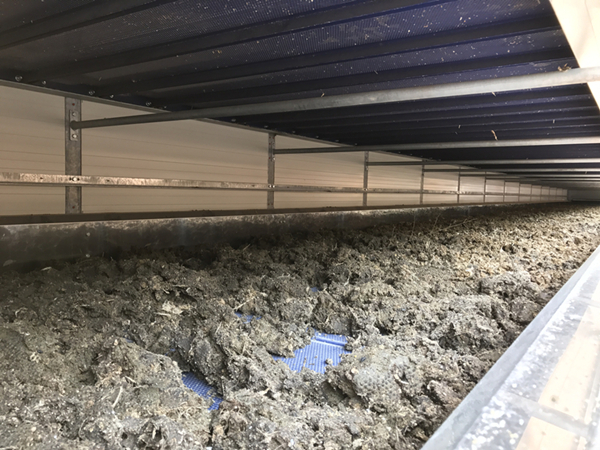 chicken manure drying machine
