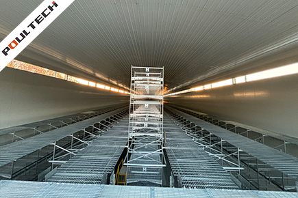 200,000 Layers Project Installation Work In Hubei Province, China.