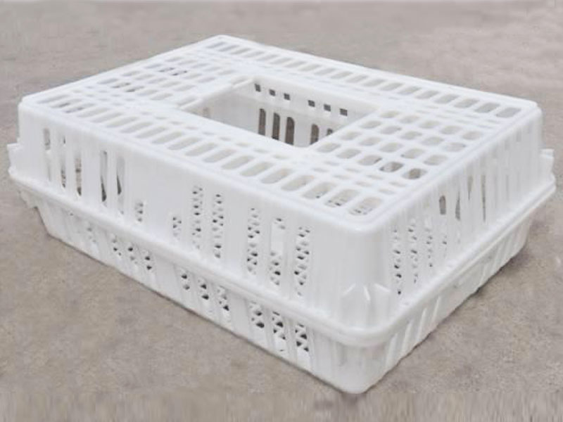 Double piece transport cage