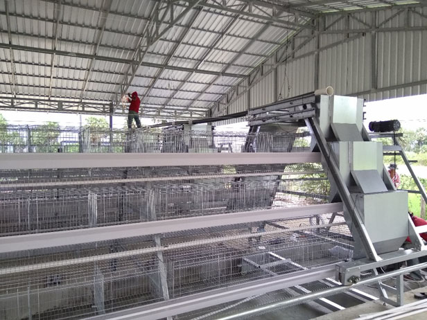 A Frame Layer Cage System Project in Cambodia