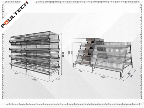 Advantages and disadvantages of A-type and H-type chicken cages