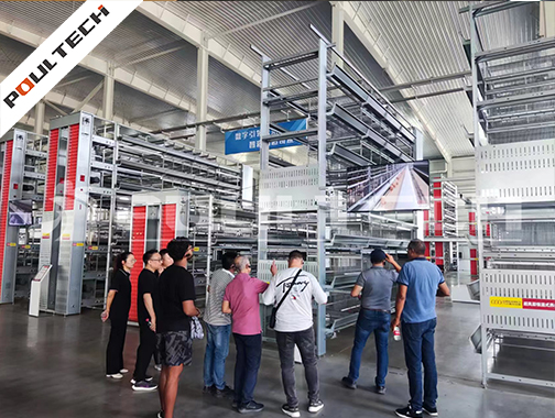 Contract Poultry Farming Companies Near Me – Transform Your Poultry Business with POUL TECH