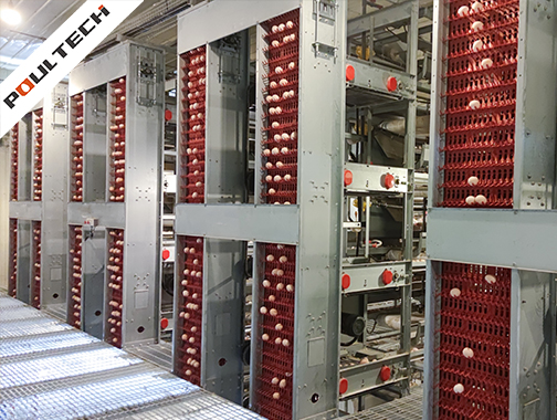Battery layer cage