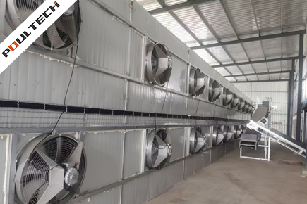 Chicken Manure Drying Equipment Project in Tianmen City, Hubei Province, China