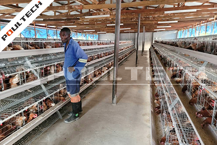 POUL TECH layer cage chicken house for 10,000 chickens- Nigeria