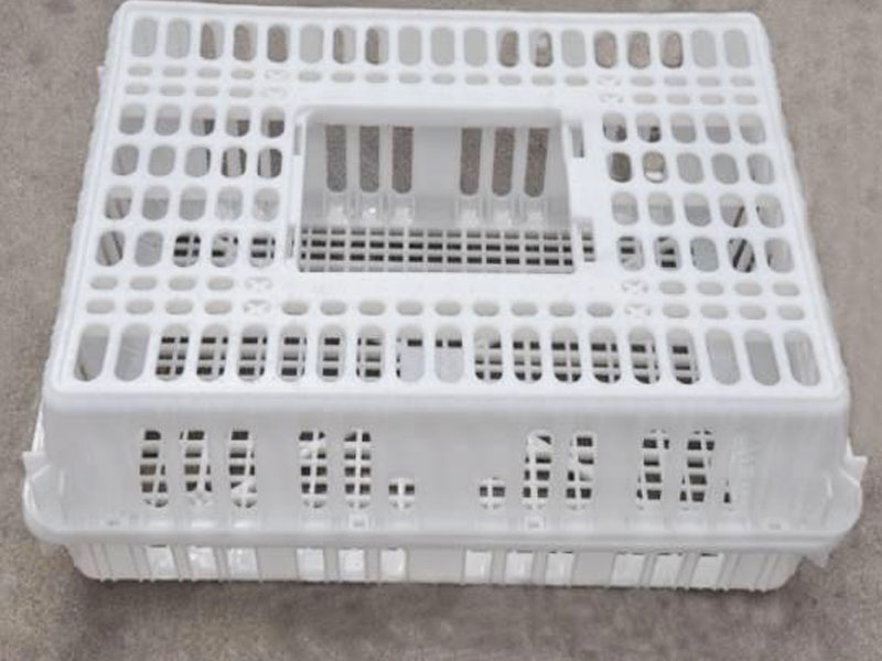 Double piece transport cage