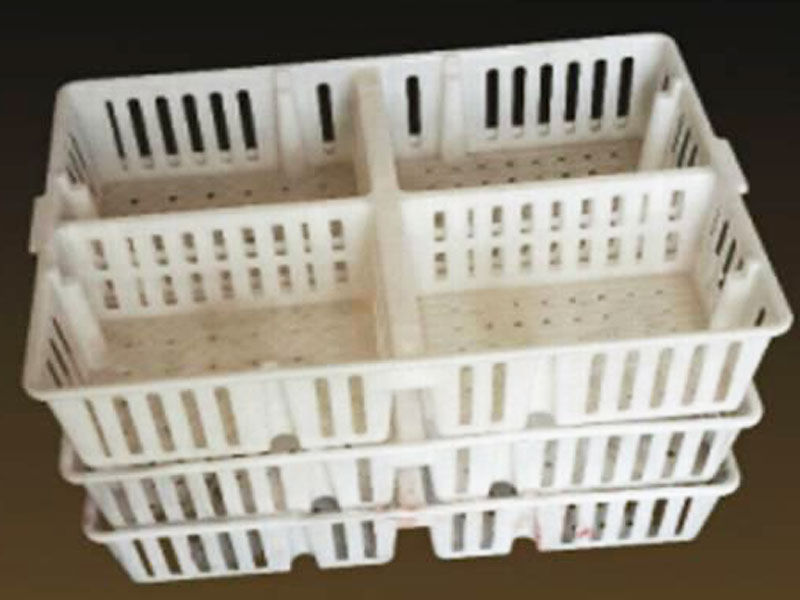 Nested structure pullet transport cage